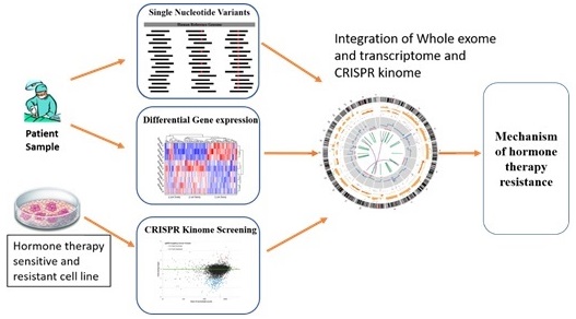 Integrative analysis to understand the mechanism of hormone therapy resistance in breast cancer 